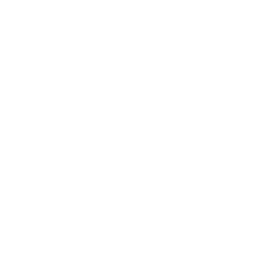 Leadership Opportunities